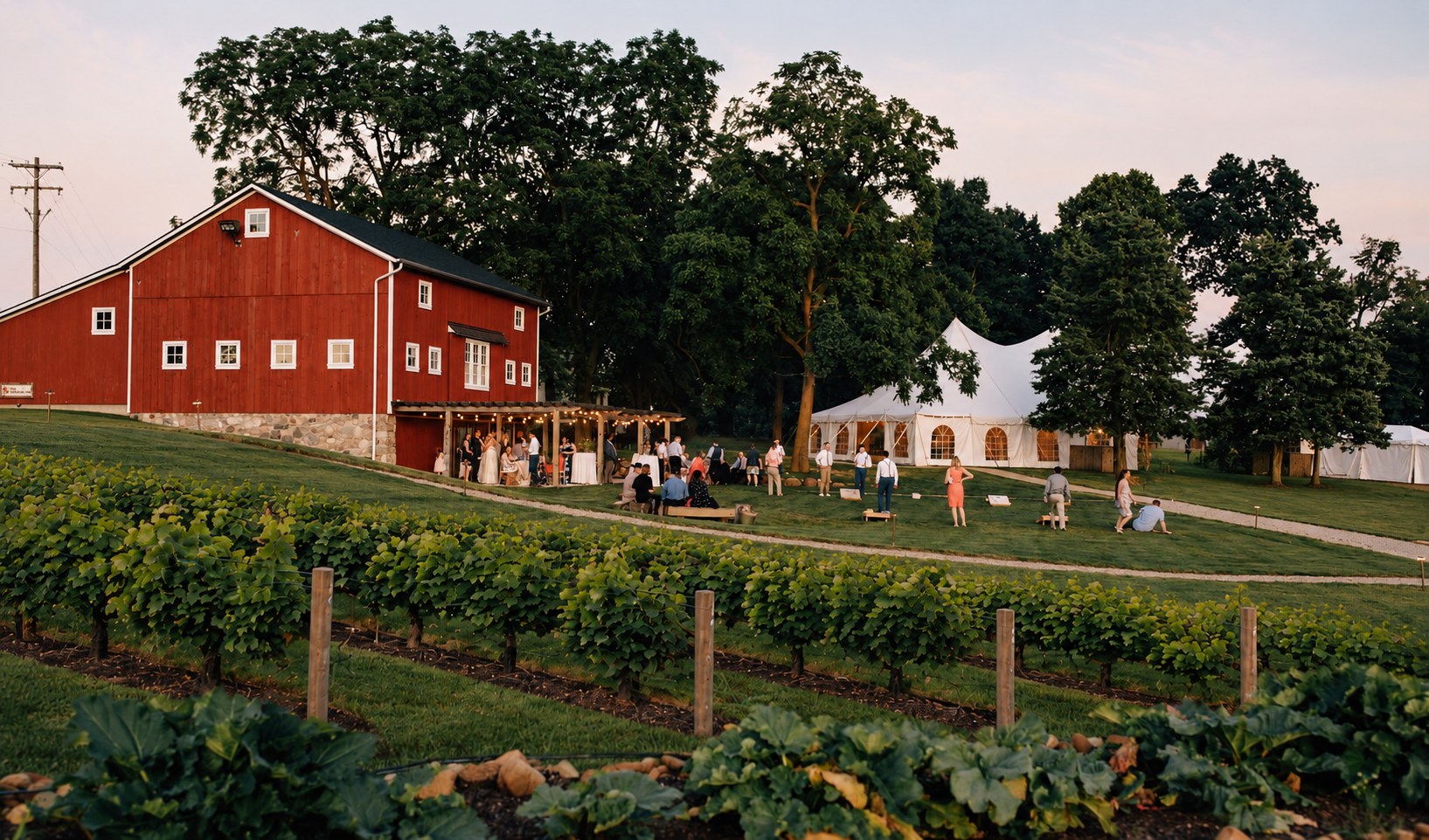 Rendering of the Red Barn and reception tent with the new vineyard rows in the foreground
